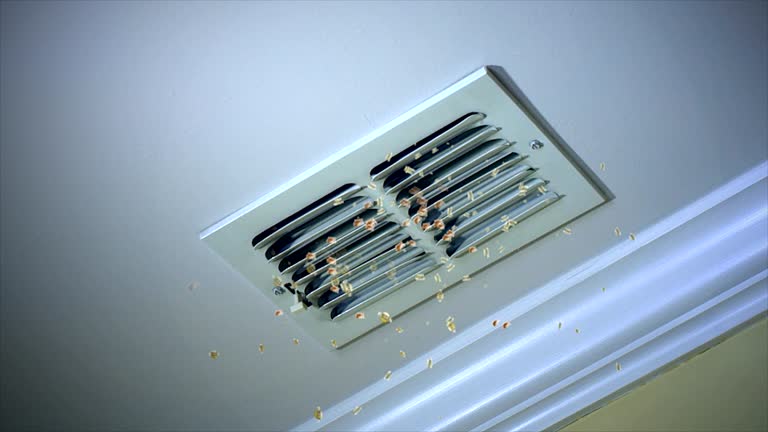 Best Affordable HVAC Duct Cleaning  in Bishop, TX
